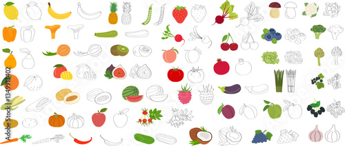 Set of fruits, vegetables and berries with vitamin C - flat vector illustration. Cartoon template for children's educational coloring pages with black outline and packaging for juices and dietary food