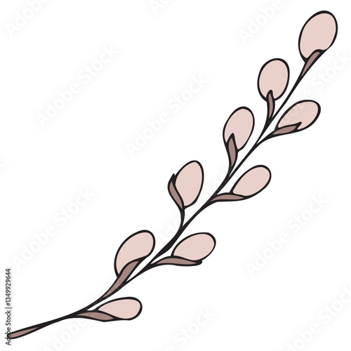 spring easter traditional fluffy pussy willow branches, beginning of spring, vector color isolated design element, hand drawn doodle element, for kids
