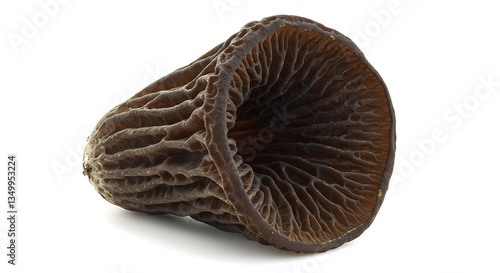 A dark, trumpet-shaped mushroom with a wrinkled texture, isolated on white.