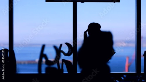 The silhouette of a female office worker walks by a window overlooking the water.
