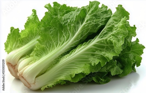 Fresh Assortment of Colorful Vegetables Arranged on a White Background