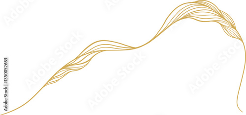 Gold Line Wave Border
