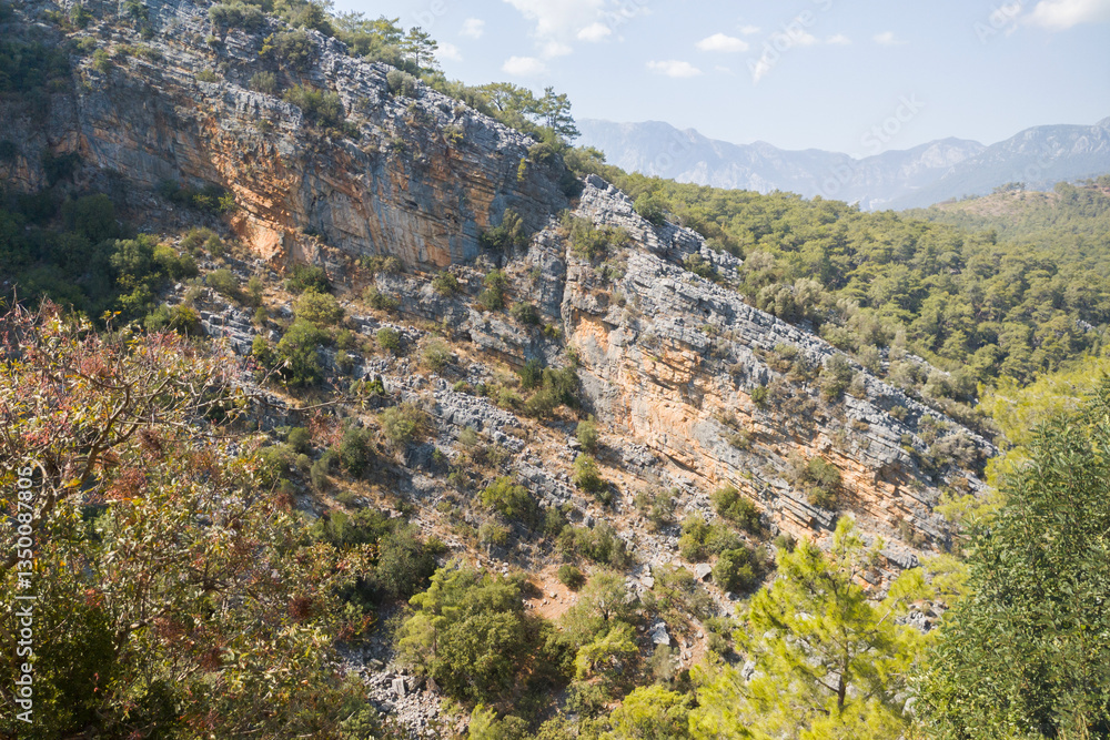 Landscape with pine tree wood forest and rocky mountains above blue sky.Natural background on sunny day Landscape with pine tree wood forest and rocky mountains above blue sky.Natural background on sunny day