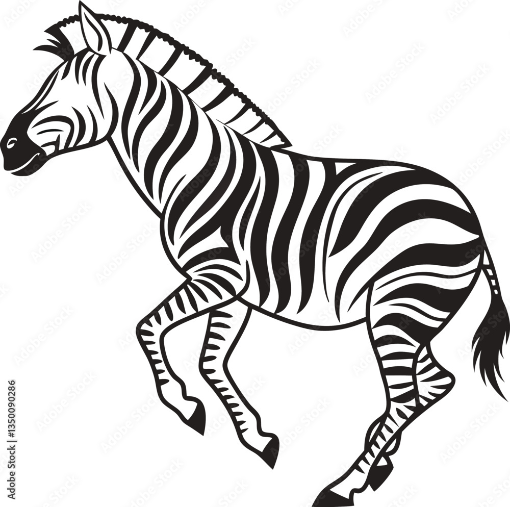Obraz premium zebra isolated on white background
