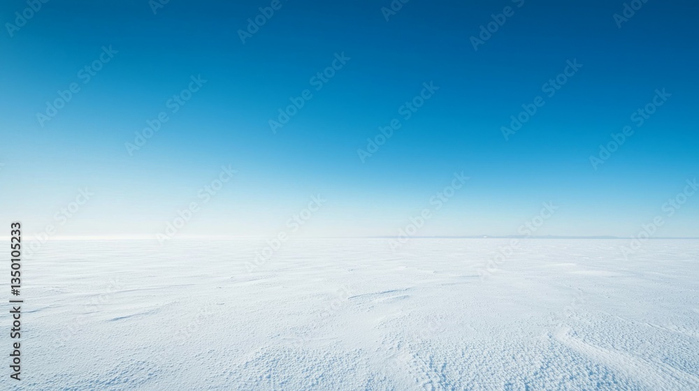 Expansive Winter Landscape with Clear Blue Sky and Snow Surface Expansive Winter Landscape with Clear Blue Sky and Snow Surface