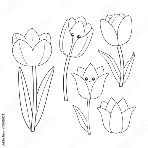 Tulip line art
