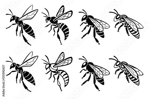 black and white sillhouette of wasp vector design,  illustration on a white.