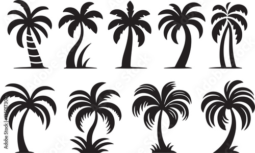 set of palm trees