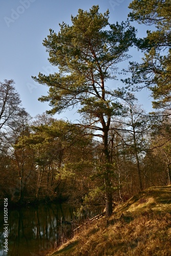 Fototapeta Naklejka Na Ścianę i Meble -  Krajobraz