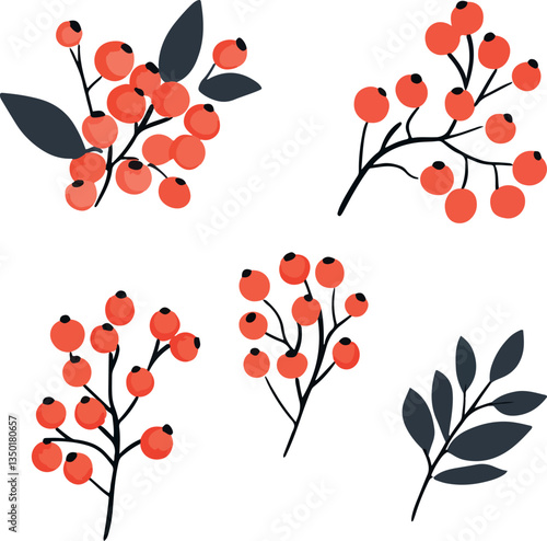 set of vector rowan berry