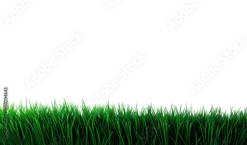 Franja de pasto verde aislada sobre fondo transparente. PNG.