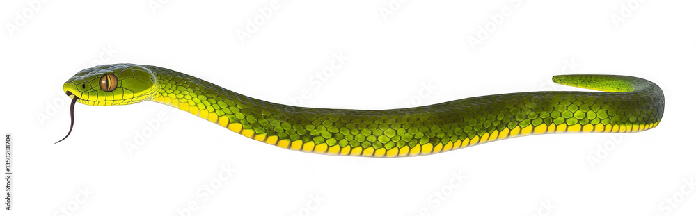 Obraz premium Brown spotted green baby pitviper or pit viper moving side ways. High detail. Isolated cutout on transparent background. 