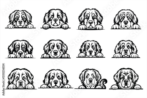 Peeking Bernese Mountain Dog svg