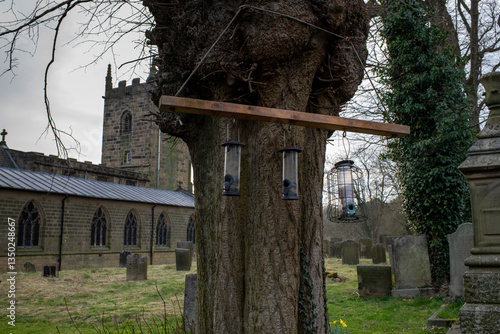 Eham, Chesterfield, United Kingdom - 21 Mar 2025 - A tree with two bird feeders hanging from it. The tree is near a cemetery and a church