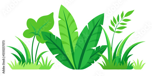 Tropical Green Grass and Leafy Jungle Foliage. A Natural Wonderland