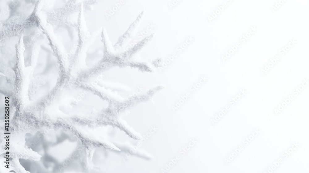 Obraz premium Snowy winter branches, close-up. Decorative snow-covered tree branches against a white background