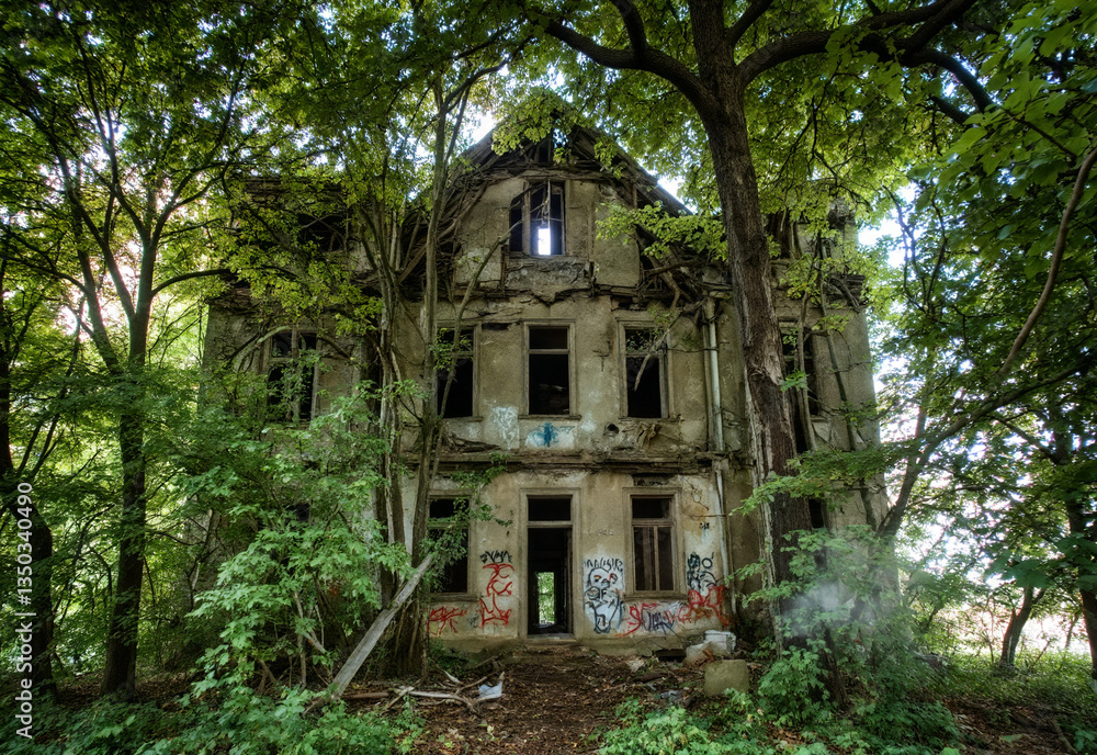 Silent Collapse – Abandoned Mansion Hidden in the Forest Silent Collapse – Abandoned Mansion Hidden in the Forest