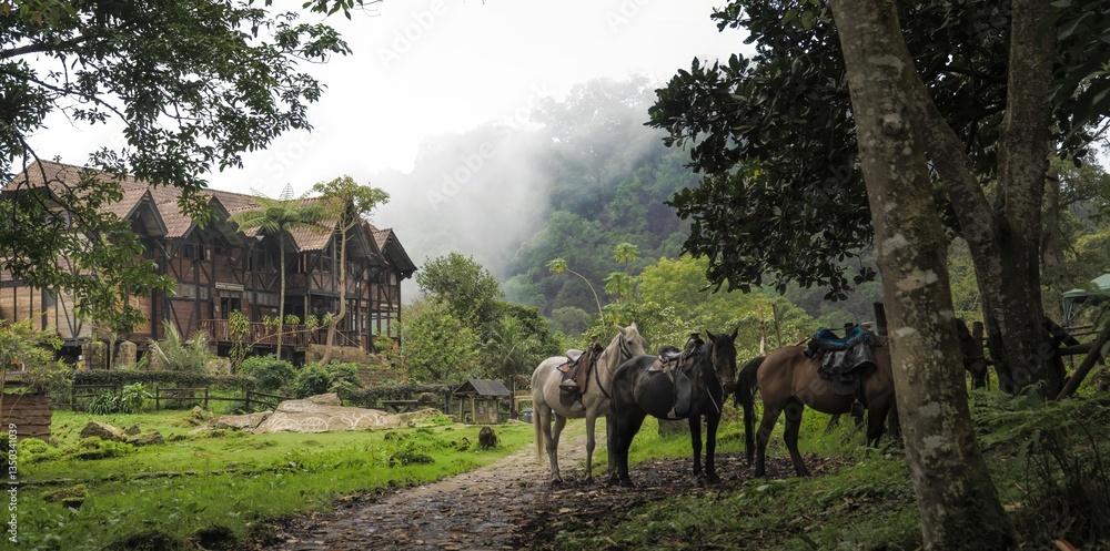 Fototapeta premium A charming wooden lodge surrounded by lush greenery and mist, with saddled horses waiting on a dirt path. A peaceful rural retreat in nature