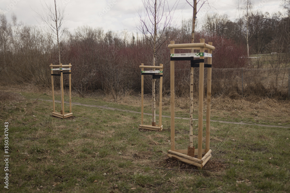 Three newly planted trees in wooden stands, set on open ground in a natural park or field. The scene shows the early stages of tree growth, with a focus on sustainability and nature preservation.