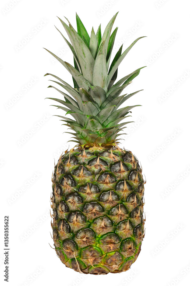 Fototapeta premium Fresh Ripe Pineapple Isolated on White Background, isolated png background.