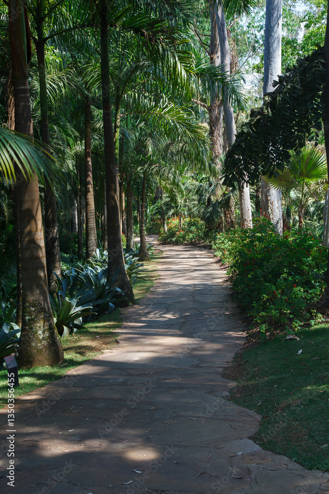 Path in the lush trees in Inhotim, Minas Gerais, Brazil.