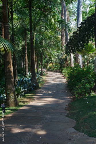 Obraz na płótnie Path in the lush trees in Inhotim, Minas Gerais, Brazil. w salonie