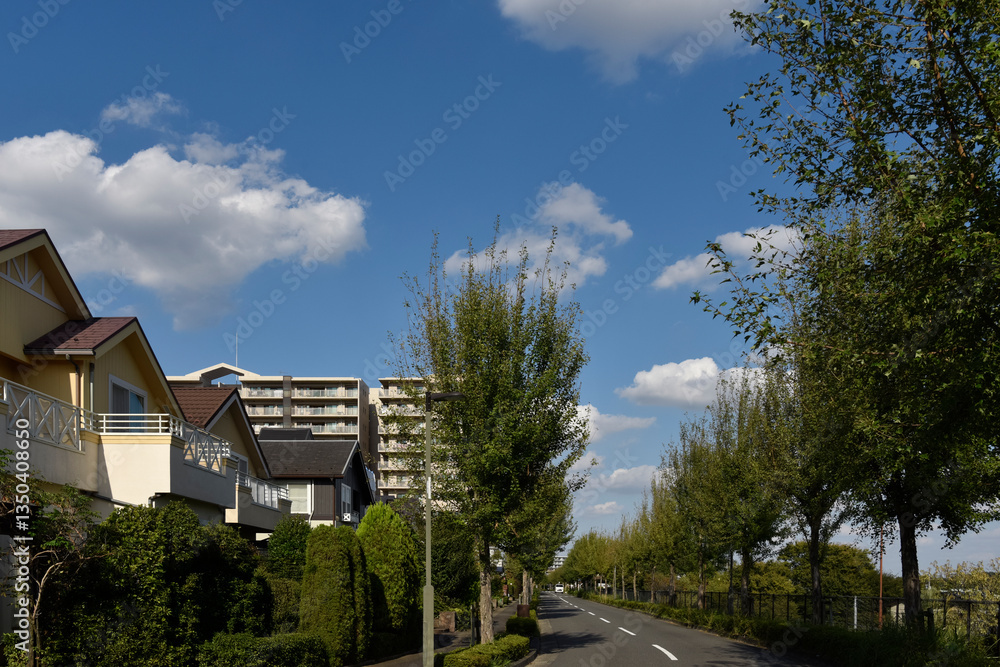 日本の住宅地 日本の住宅地