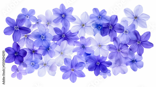 Purple and blue flowers arrangement, flat lay, white background, floral design, perfect for greeting cards