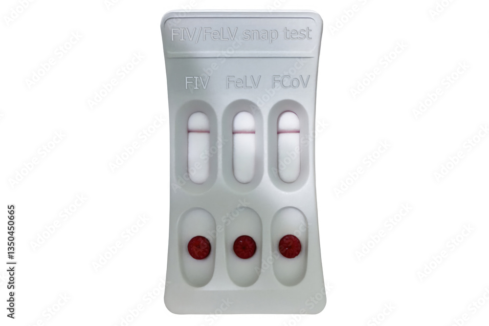 SNAP FIV,FeLV and FCoV combo test showing negative results for feline immunodeficiency virus, feline leukemia virus and feline coronavirus, isolated on white background