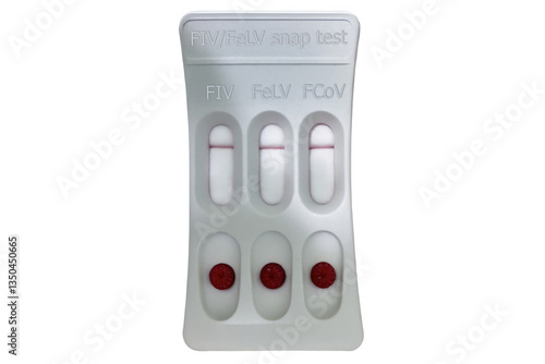 Obraz na płótnie SNAP FIV,FeLV and FCoV combo test showing negative results for feline immunodeficiency virus, feline leukemia virus and feline coronavirus, isolated on white background w salonie