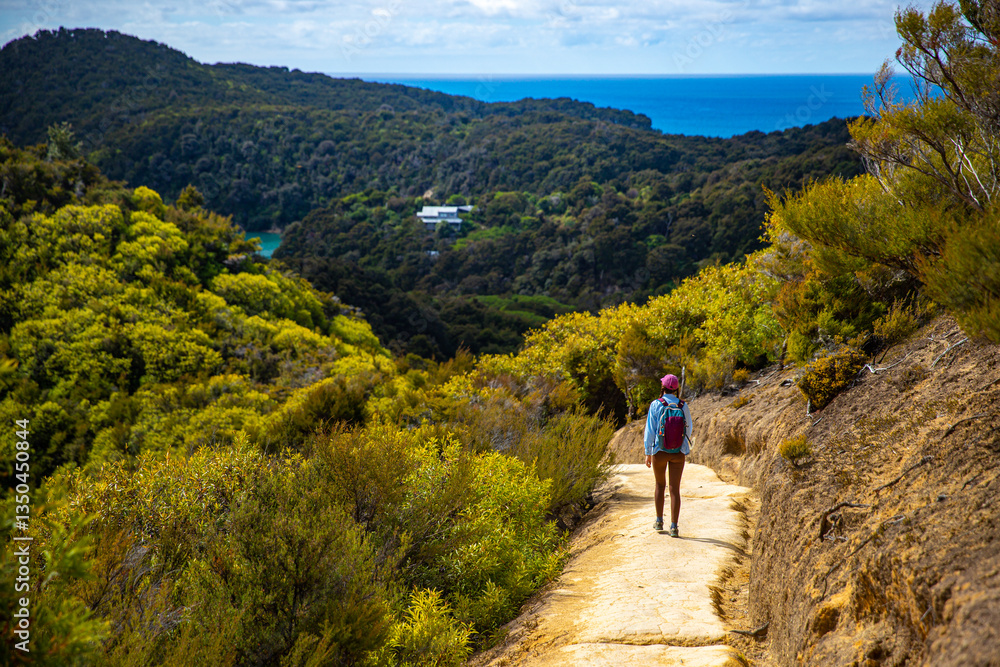 Obraz premium backpacker stands on the hill overlooking Anchorage Bay and Torrent Bay in Abel Tasman National Park - hiking on a famous great walk in New Zealand South Island