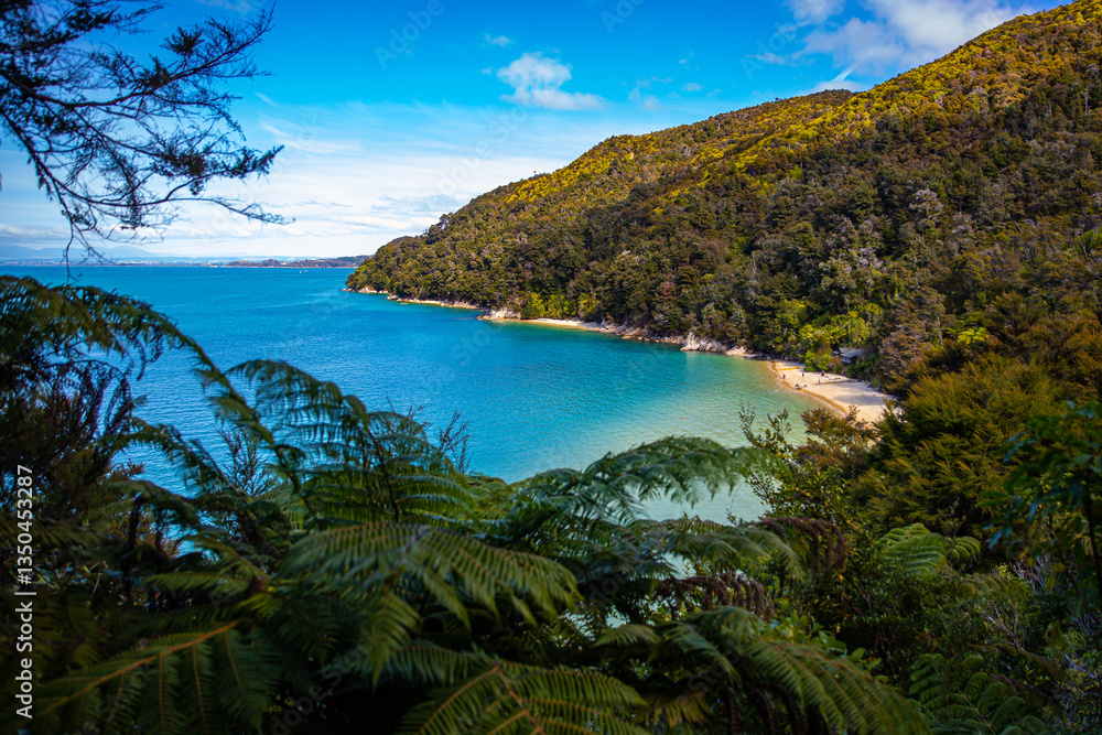 Obraz premium panorama of Stilwell Bay in Abel Tasman National Park. Little paradise beaches with turquoise water surrounded with tropical vegetation. Famous great walk in New Zealand South Island