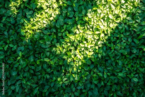 Vibrant Green Leaf Texture Background Lush Foliage