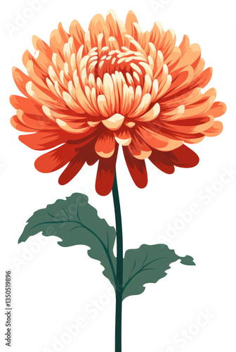 PNG Chrysanthemum chrysanths flower dahlia.