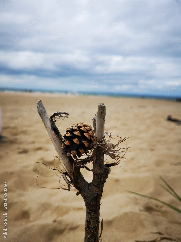 Obraz premium palm tree on the beach