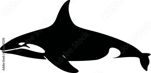 Stylized orca logo design, bold black and white killer whale illustration