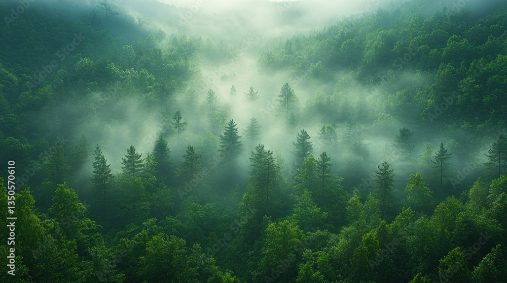 A misty forest with tall pine trees and a dense fog filtering through the branches, creating a serene and mysterious atmosphere. A misty forest with tall pine trees and a dense fog filtering through the branches, creating a serene and mysterious atmosphere.