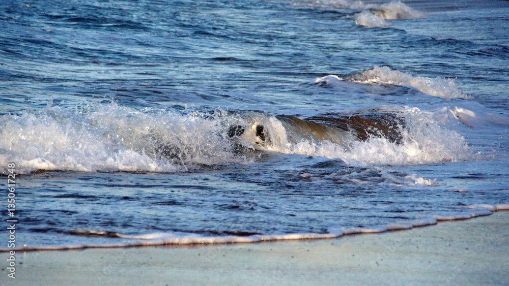 Obraz premium Waves breaking on the beach in Zipolite, Mexico
