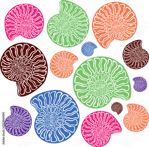 Seashell fossils clipart - Paleontologist fossil hunting vector silhouette art. A set of colorful seashells icons in a Trendy Minimal Linear Style. Vector Illustration of a Snail.