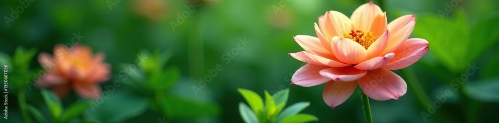Fototapeta premium Gorgeous, lush, greenery surrounding a flower, botanical, plant