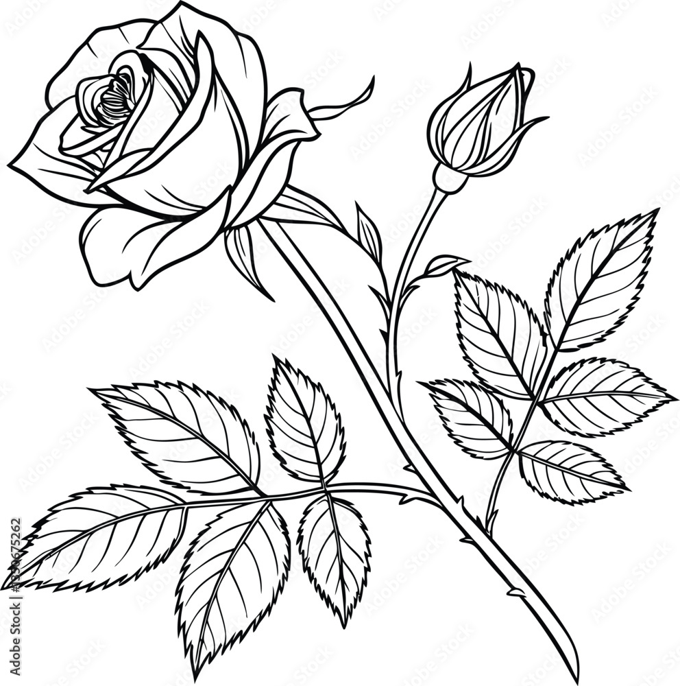 Rose silhouette vector in black and white Rose silhouette vector in black and white