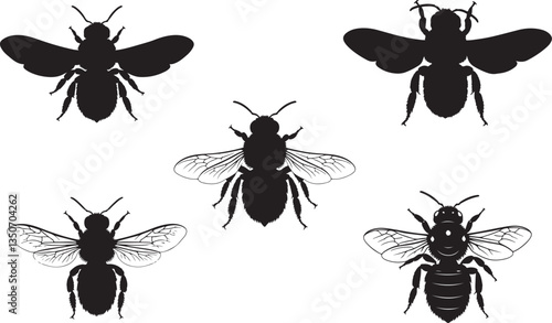 Carpenter Bee Silhouette - Pollination and Insect Illustration