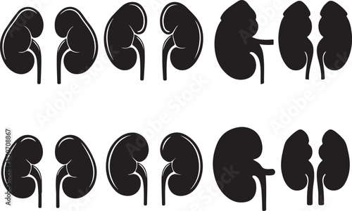 Kidney Silhouettes - Human Urinary System Illustration