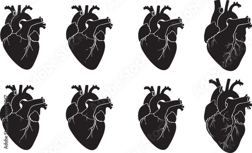 Heart Silhouettes - Human Organ Illustration