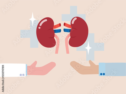 Doctor  kidney organ donation transplantation anatomy medicine surgery care disease vector illustration concept hospital healthcare and medicine patient human science support dialysis internal organ