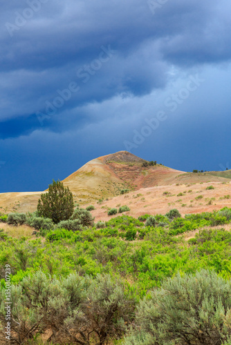 Obraz na płótnie North America, United States, Oregon, Central Oregon, Redmond, Bend, Mitchell. Series of low clay hills striped in colorful bands of minerals, ash and clay deposits. w salonie