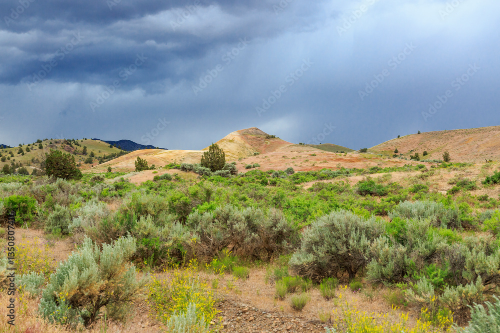 North America, United States, Oregon, Central Oregon, Redmond, Bend, Mitchell. Series of low clay hills striped in colorful bands of minerals, ash and clay deposits.