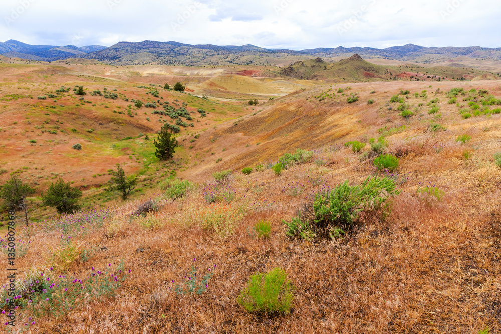 North America, United States, Oregon, Central Oregon, Redmond, Bend, Mitchell. Series of low clay hills striped in colorful bands of minerals, ash and clay deposits. Desert wildflowers.