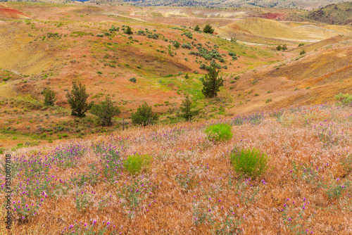 Obraz na płótnie North America, United States, Oregon, Central Oregon, Redmond, Bend, Mitchell. Series of low clay hills striped in colorful bands of minerals, ash and clay deposits. Desert wildflowers. w salonie