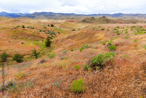 Obraz na płótnie North America, United States, Oregon, Central Oregon, Redmond, Bend, Mitchell. Series of low clay hills striped in colorful bands of minerals, ash and clay deposits. Desert wildflowers. w salonie